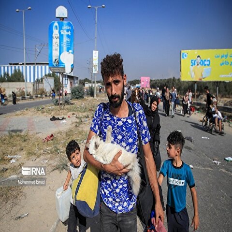 تصاویر: آوارگی هزاران فلسطینی در غزه