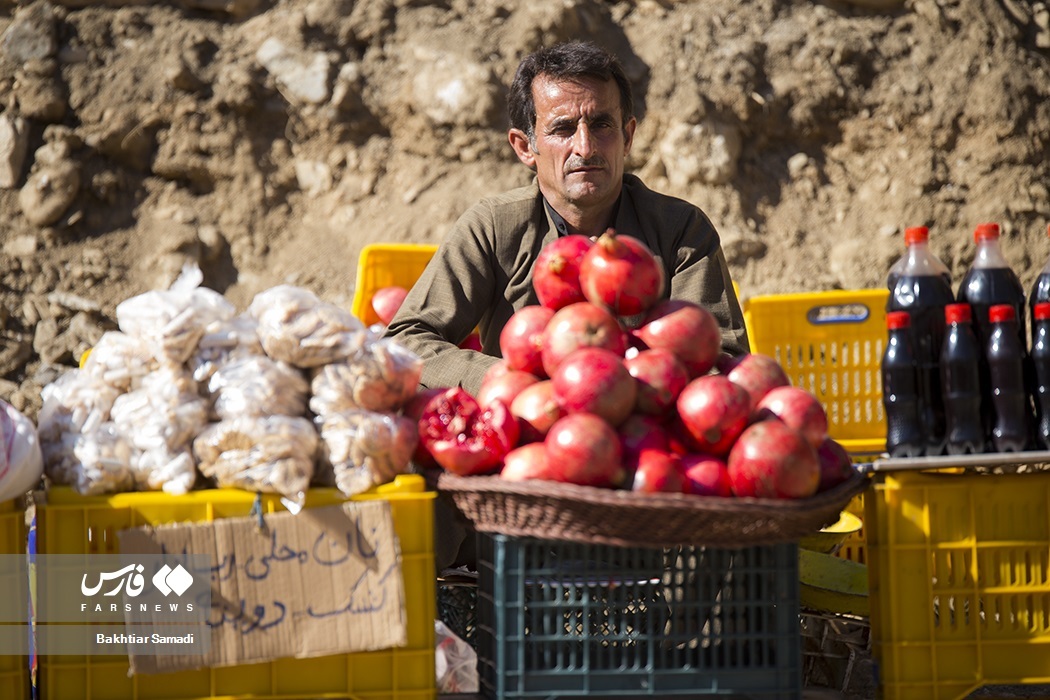 تصاویر: جشنواره «انار هورامان»