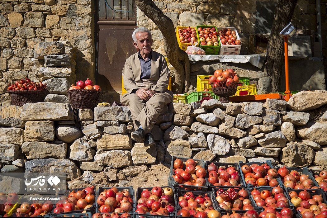 تصاویر: جشنواره «انار هورامان»