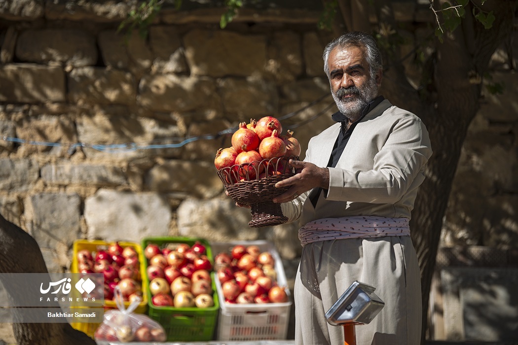 تصاویر: جشنواره «انار هورامان»