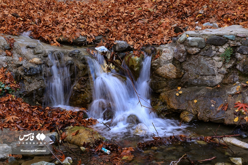 تصاویر: پاییزِ البرز