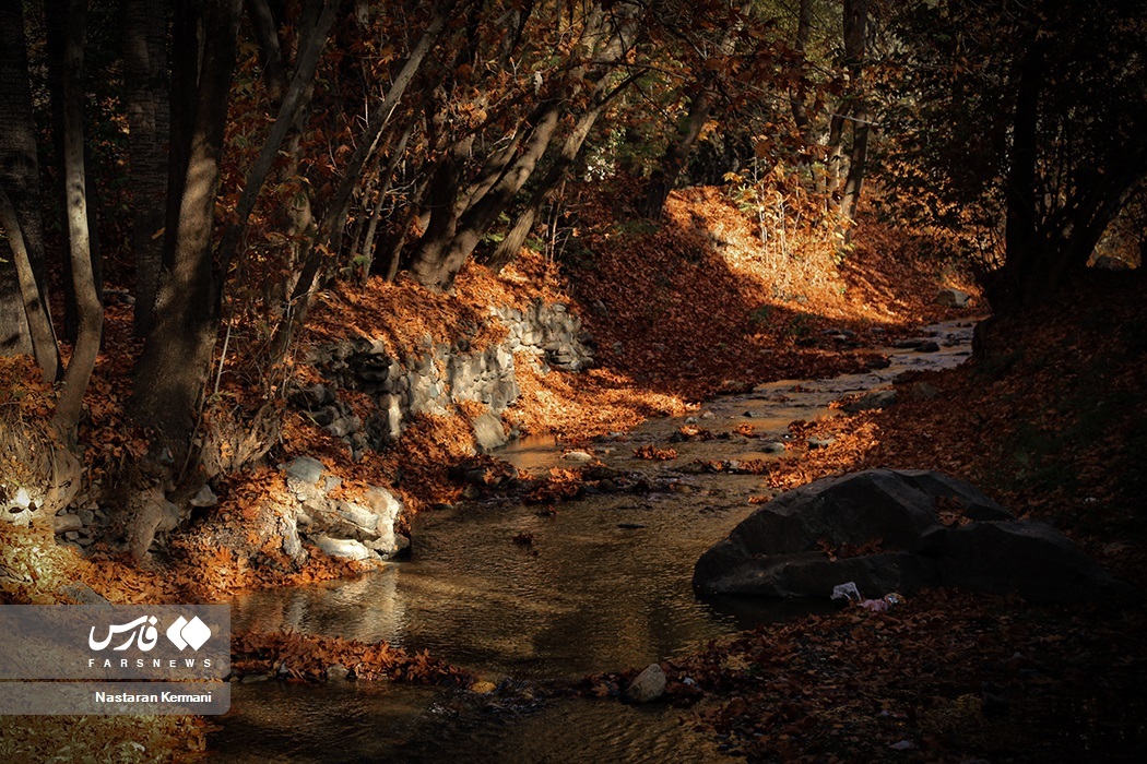 تصاویر: پاییزِ البرز