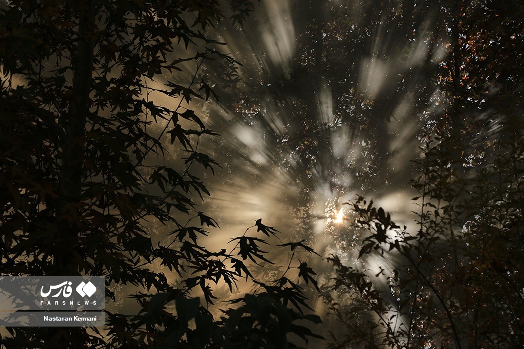 تصاویر: پاییزِ البرز