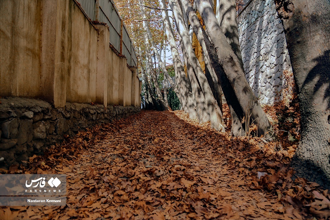 تصاویر: پاییزِ البرز