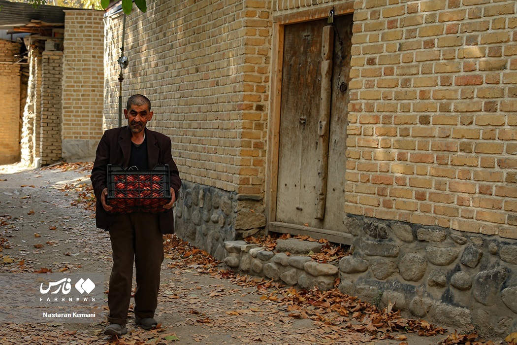 تصاویر: پاییزِ البرز