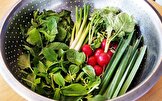 ۸ سبزی مفید برای کنترل دیابت نوع دو