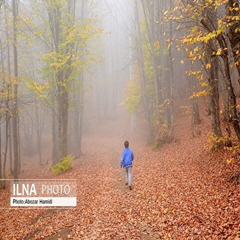 تصاویر: طبیعت پاییزی روستای داماش