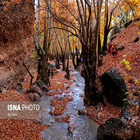 تصاویر: پاییز هزار رنگ در یاسوج