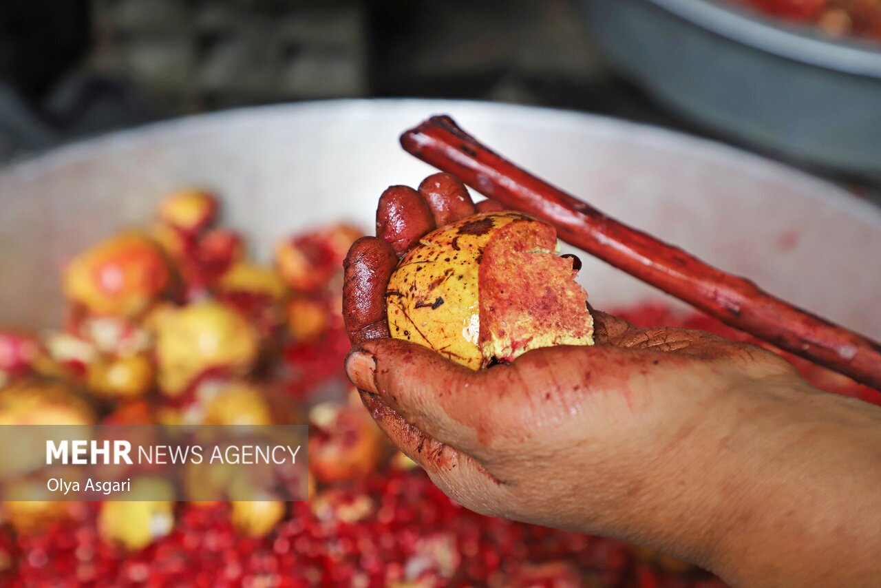 تصاویر: پاییز و رسم خوش اِنار دِله کانی