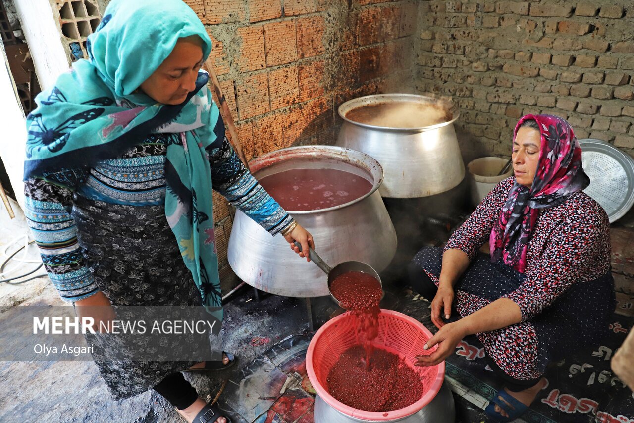 تصاویر: پاییز و رسم خوش اِنار دِله کانی