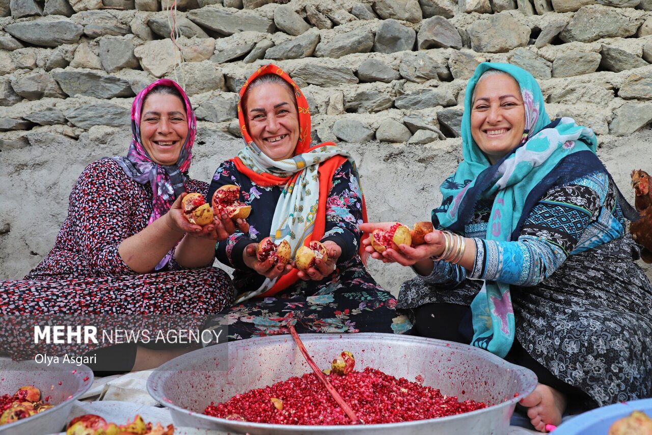 تصاویر: پاییز و رسم خوش اِنار دِله کانی