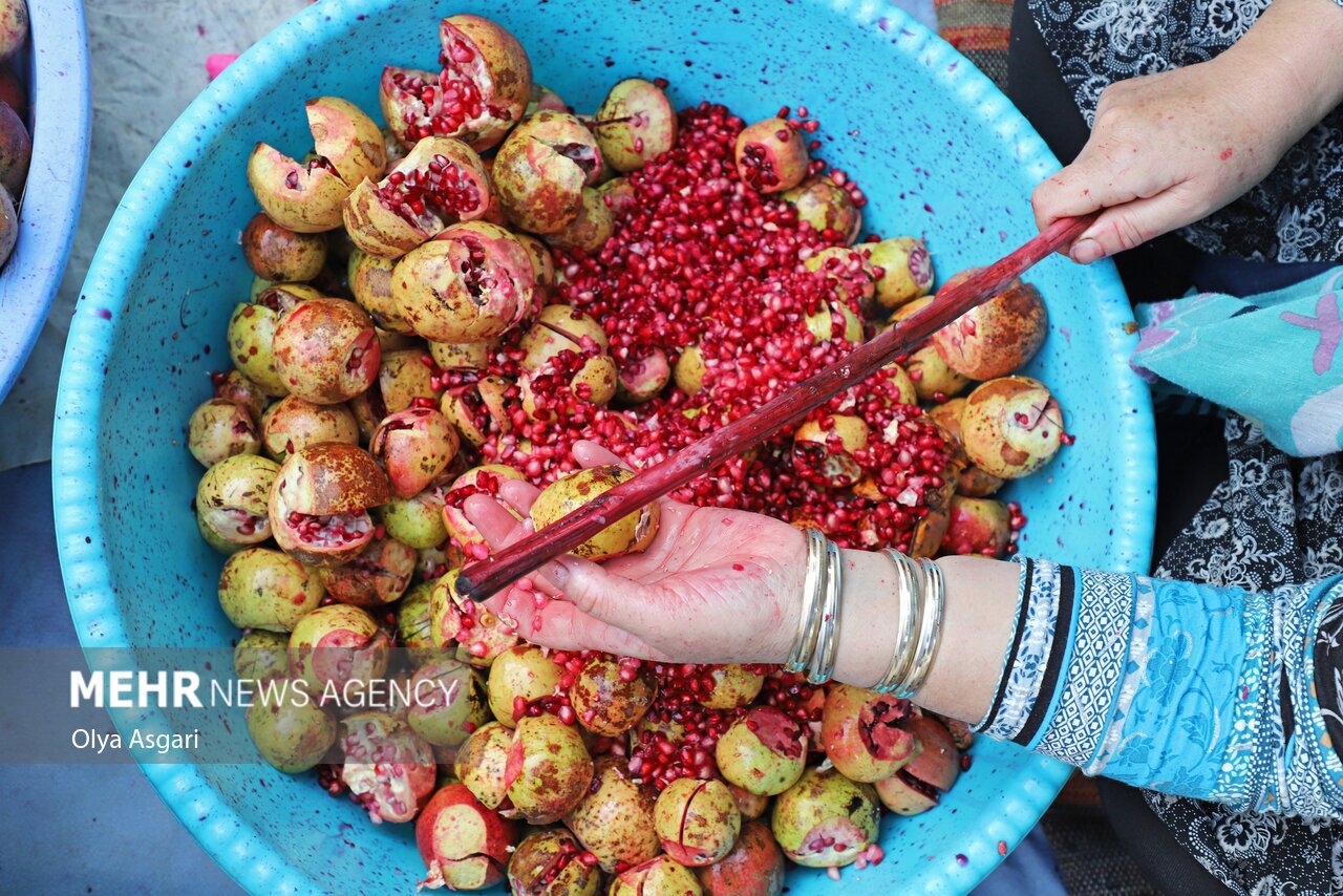 تصاویر: پاییز و رسم خوش اِنار دِله کانی