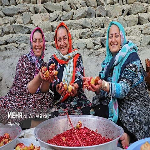 تصاویر: پاییز و رسم خوش اِنار دِله کانی