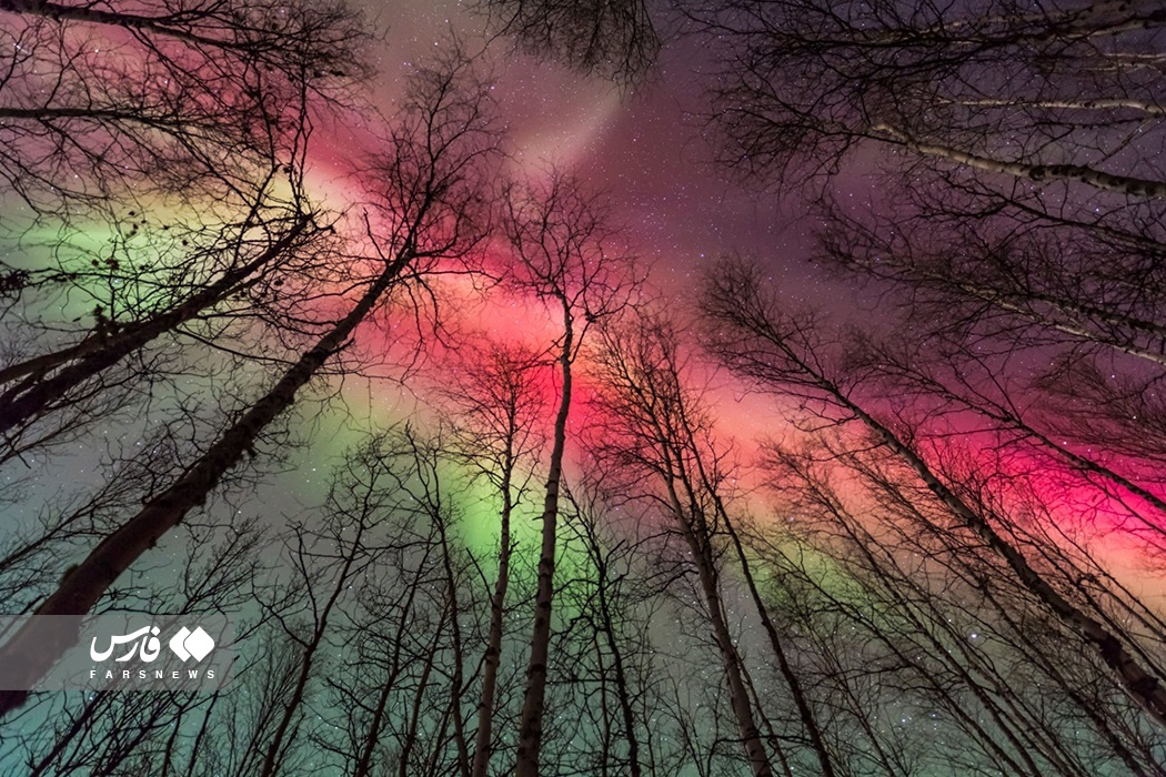 تصاویر: شفق قطبی؛ پدیده جذّابِ جوّی