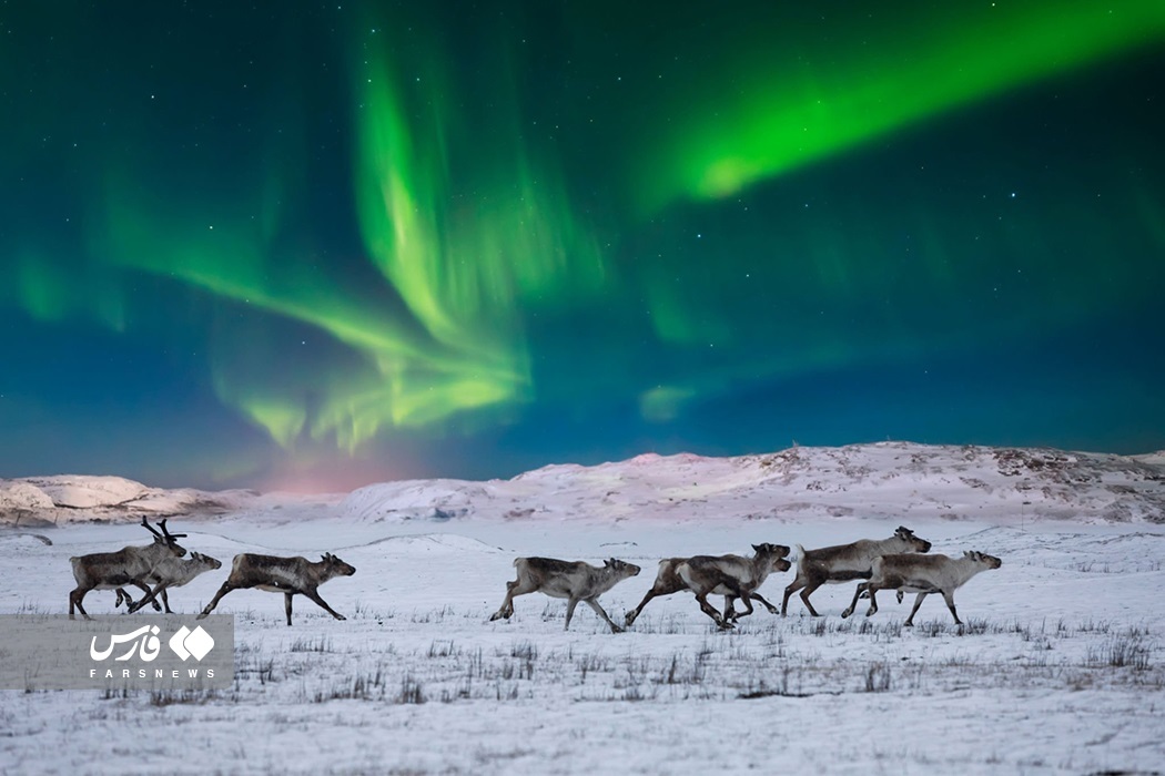 تصاویر: شفق قطبی؛ پدیده جذّابِ جوّی