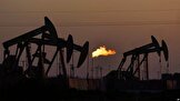 قیمت نفت در پی تعویق اجلاس اوپک و کشورهای هم‌پیمان تا «پنج درصد» افت کرد