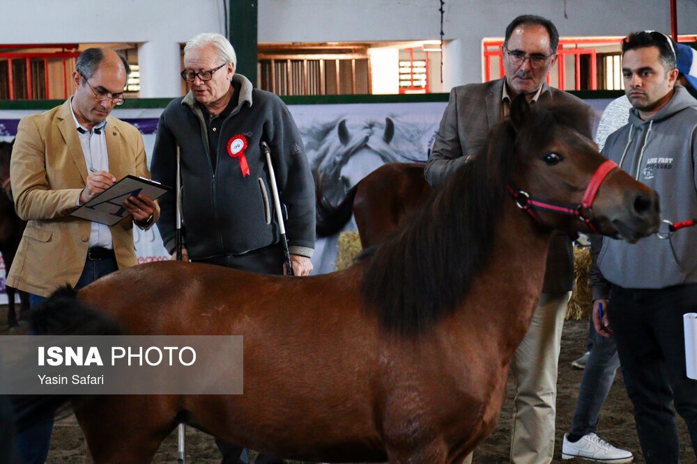 تصاویر: جشنواره ملی اسب کاسپین