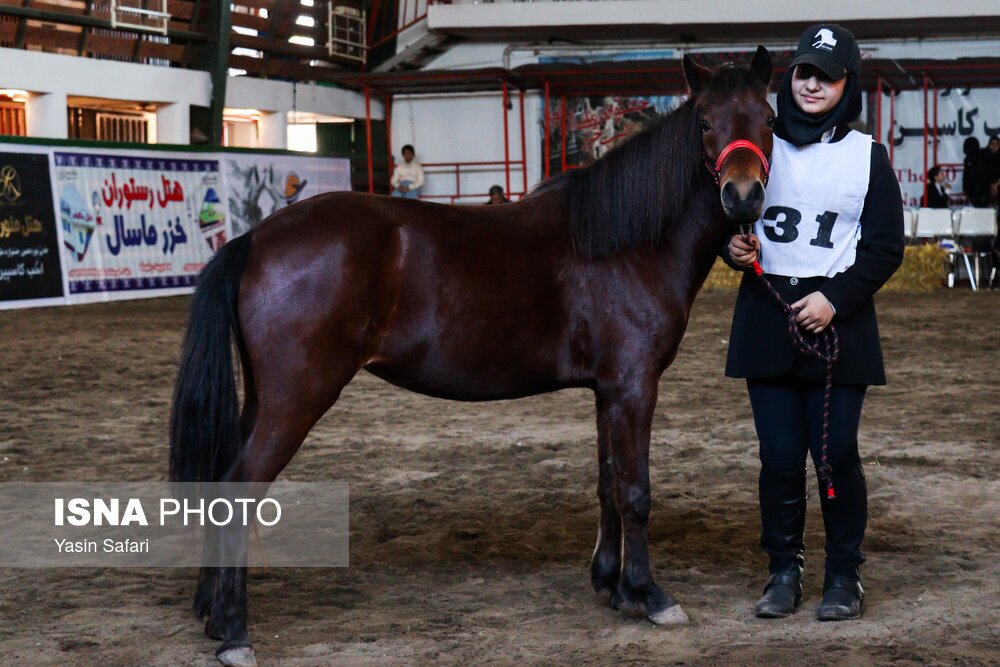 تصاویر: جشنواره ملی اسب کاسپین
