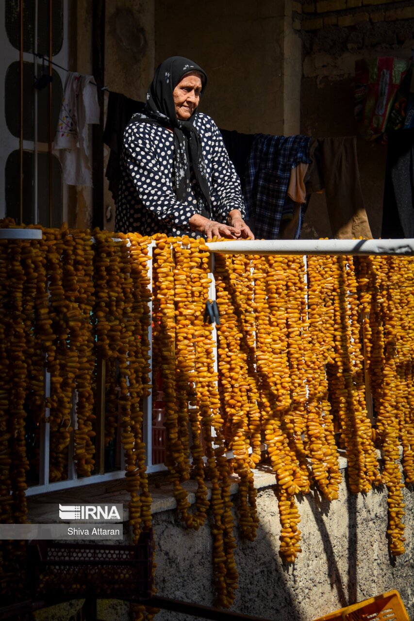 تصاویر: خرمای خاوران