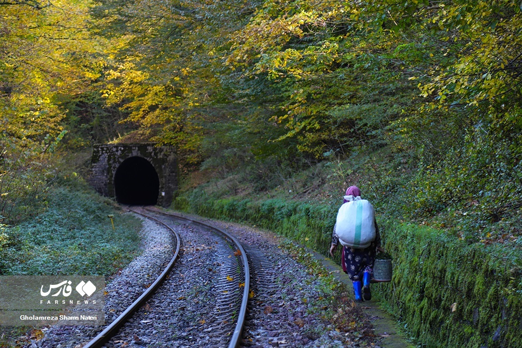 تصاویر: پاییز «راه آهن شیرگاه» مازندران