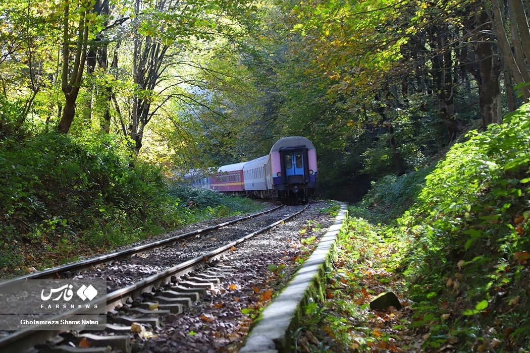 تصاویر: پاییز «راه آهن شیرگاه» مازندران