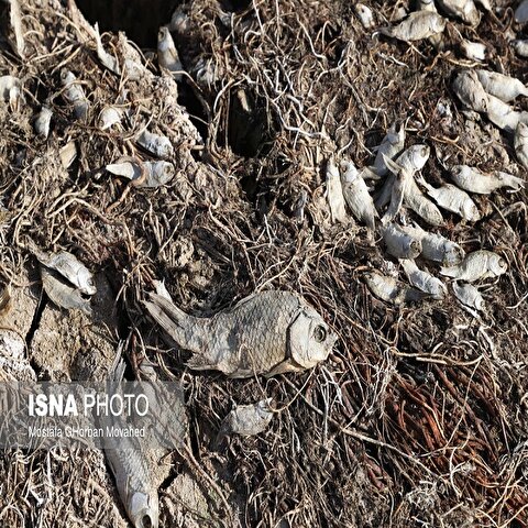 تصاویر: شهرستان هریس تشنه آب