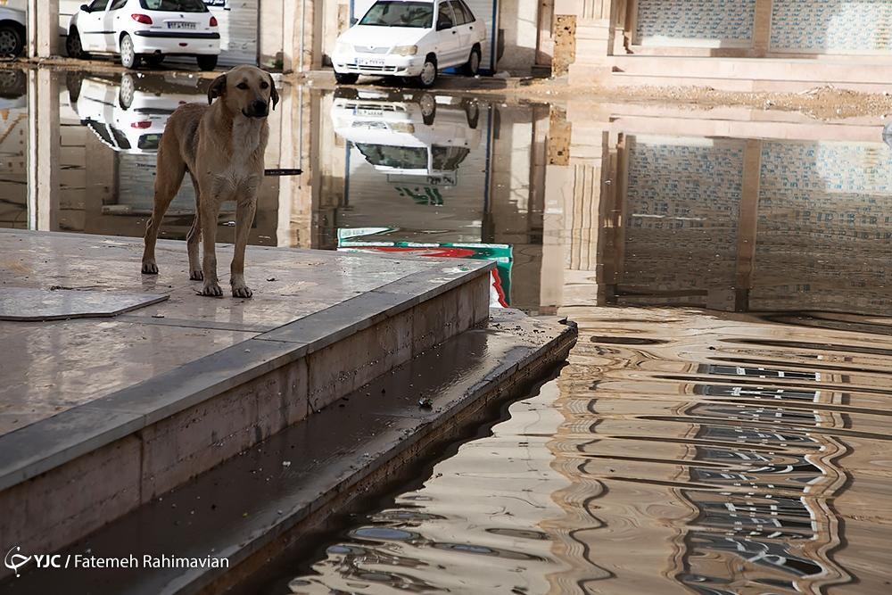 تصاویر: خسارات سیلاب و آبگرفتگی به شهروندان سربندر