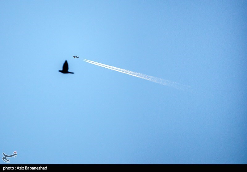 تصاویر:  پرواز کبوترها در روزهای پاییزی