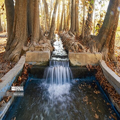 تصاویر: پاییز باغ پهلوان پور
