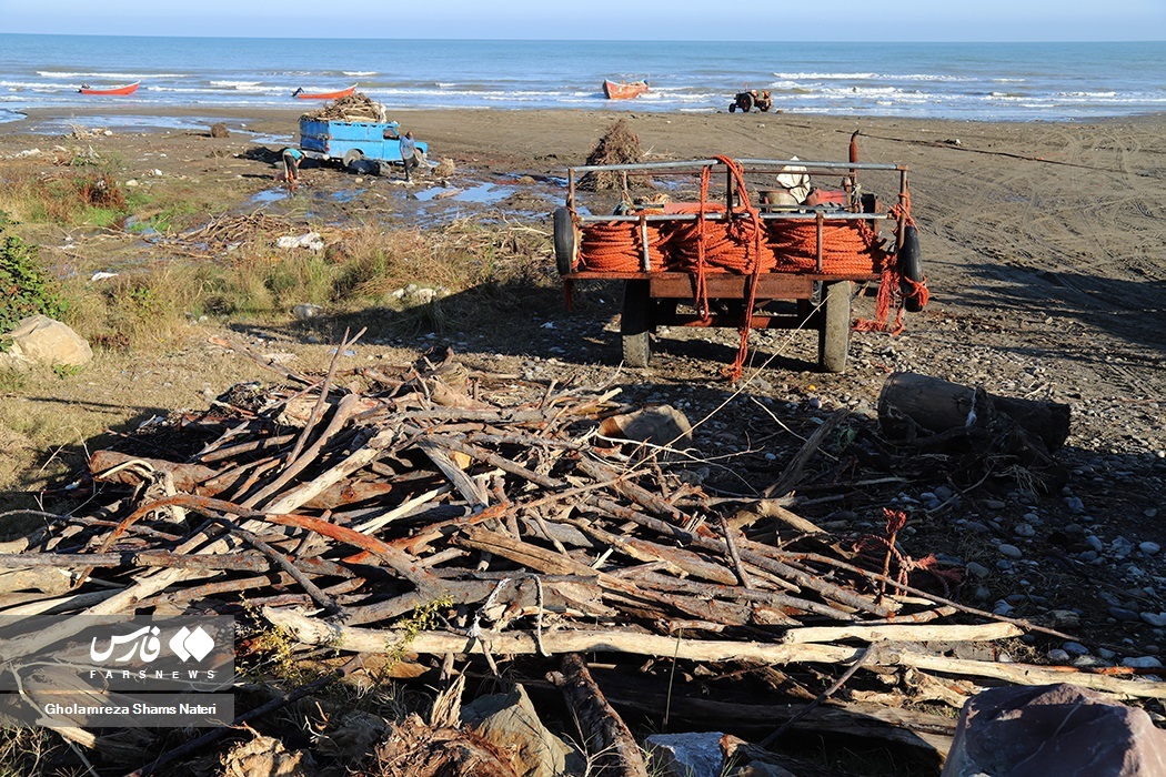 تصاویر: تور صیادان به درخت می‌خورد!