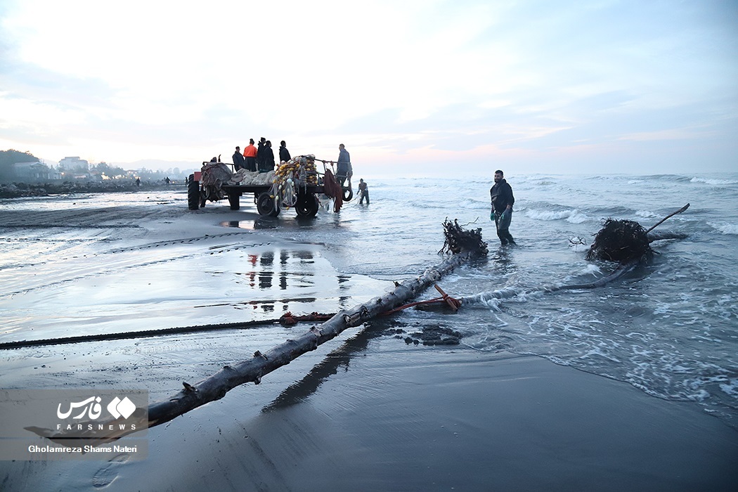 تصاویر: تور صیادان به درخت می‌خورد!