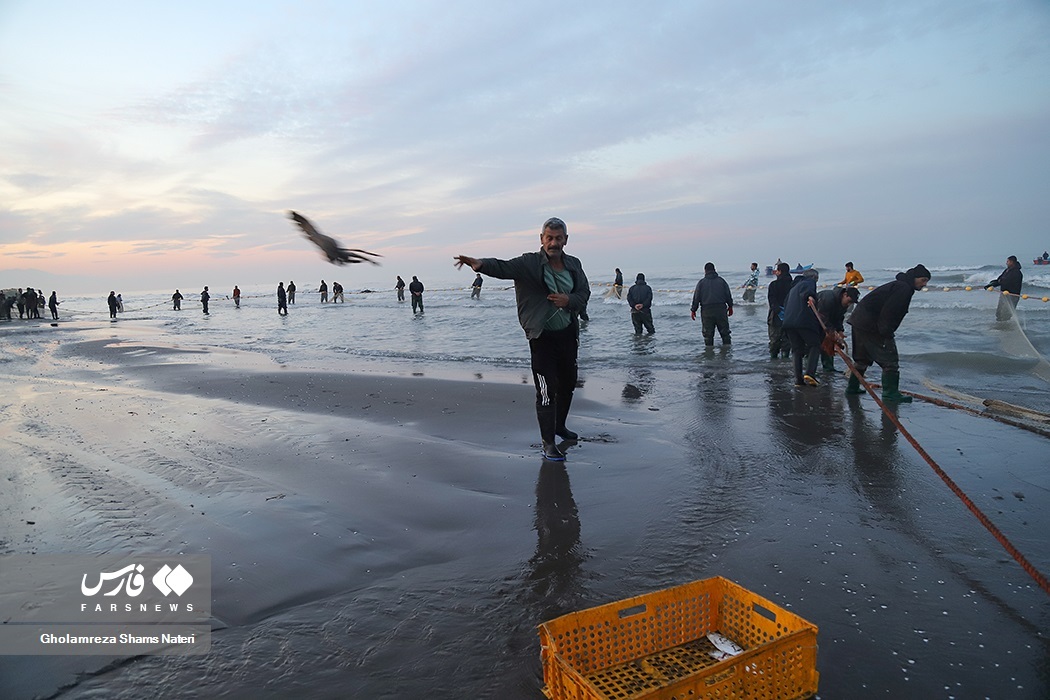 تصاویر: تور صیادان به درخت می‌خورد!