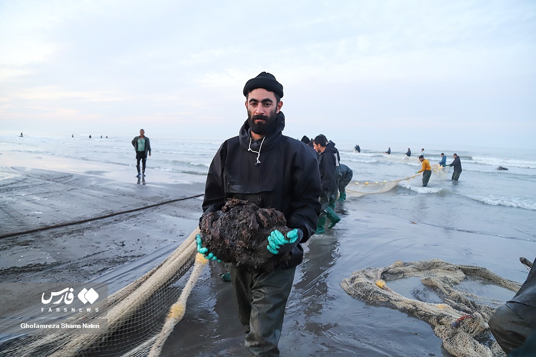 تصاویر: تور صیادان به درخت می‌خورد!