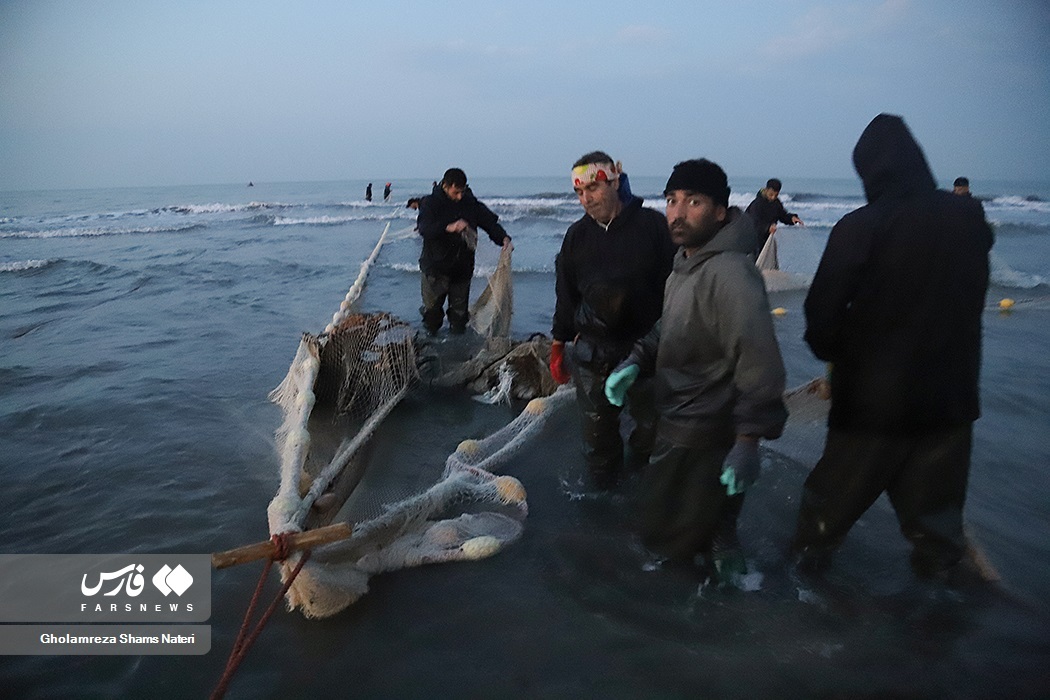 تصاویر: تور صیادان به درخت می‌خورد!