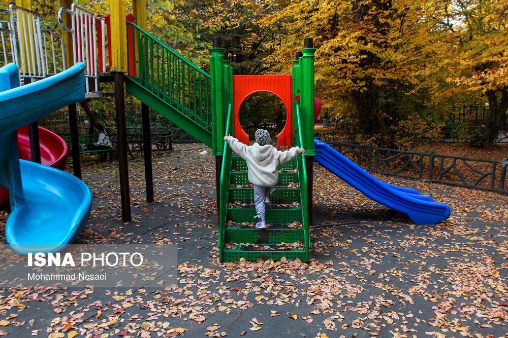 تصاویر: پاییز هزار رنگ در جنگل «النگدره»