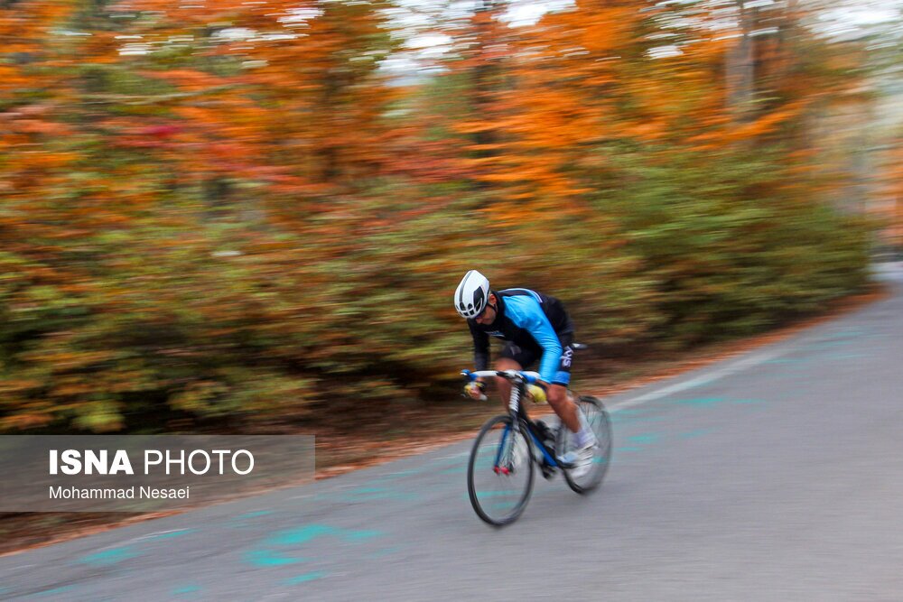 تصاویر: پاییز هزار رنگ در جنگل «النگدره»