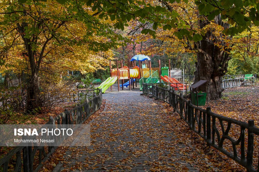 تصاویر: پاییز هزار رنگ در جنگل «النگدره»