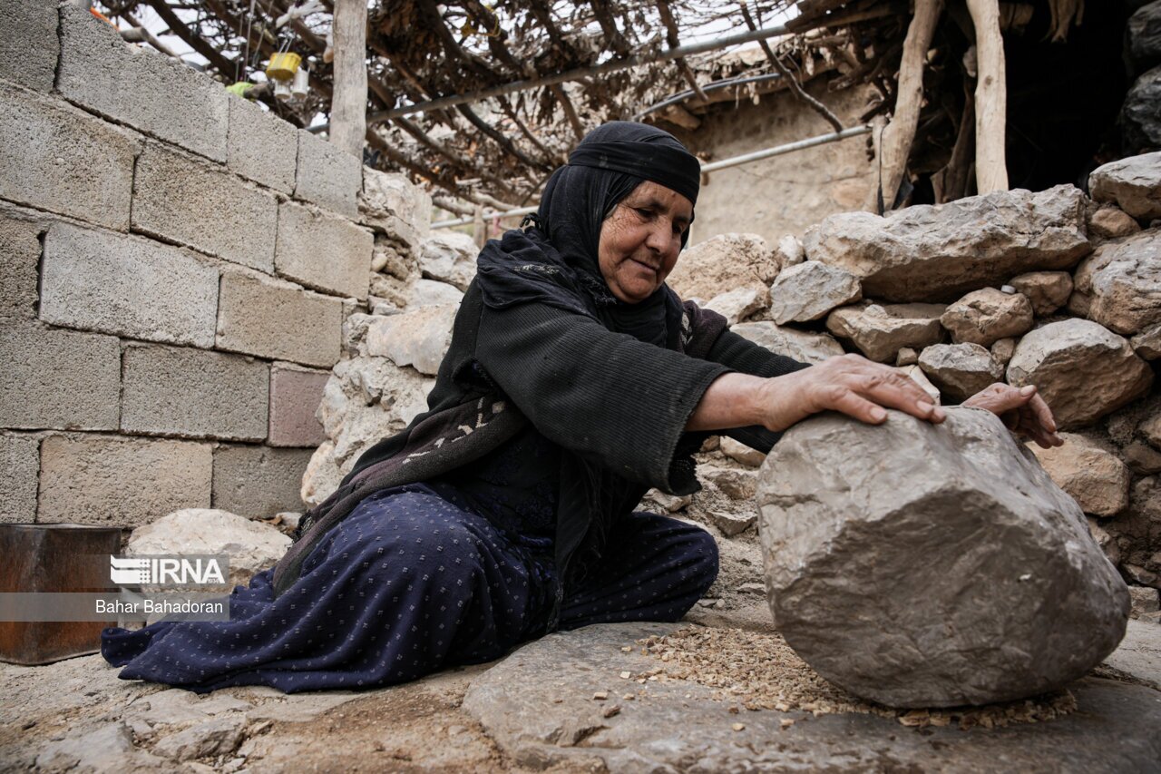 تصاویر: نانِ بلوط