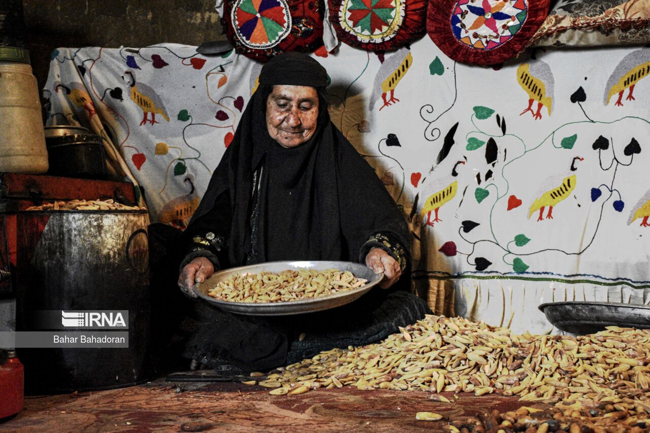 تصاویر: نانِ بلوط