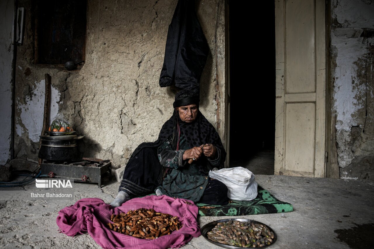 تصاویر: نانِ بلوط