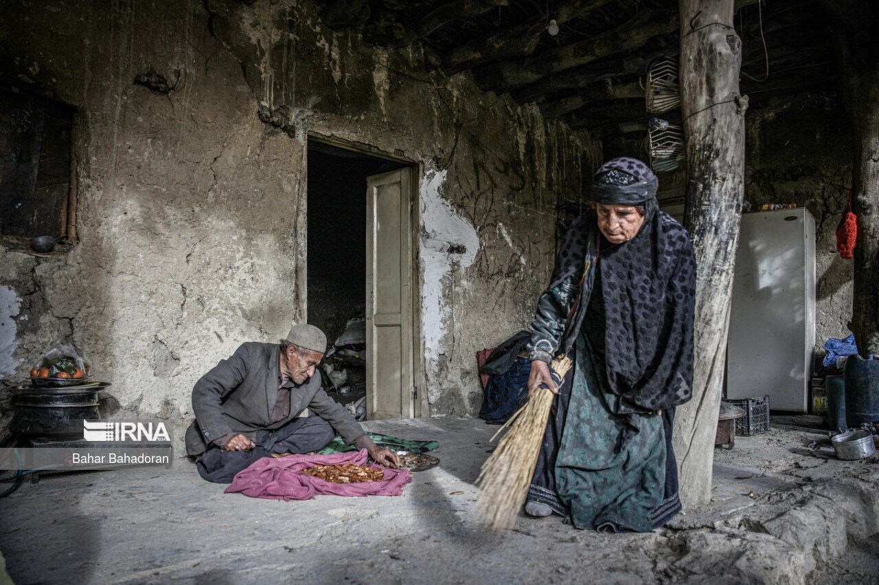 تصاویر: نانِ بلوط