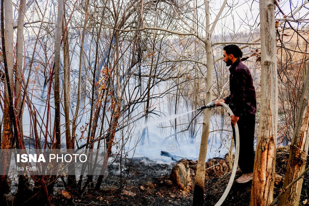 تصاویر: آتش سوزی ۶ هکتار از باغات روستای تنگ سریز بویراحمد