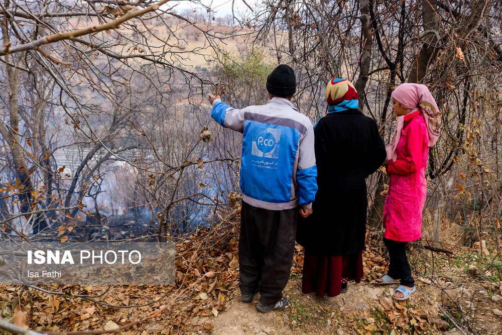 تصاویر: آتش سوزی ۶ هکتار از باغات روستای تنگ سریز بویراحمد