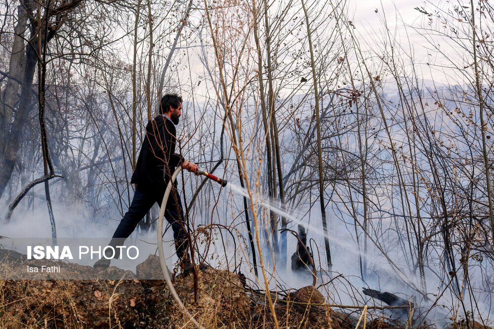 تصاویر: آتش سوزی ۶ هکتار از باغات روستای تنگ سریز بویراحمد