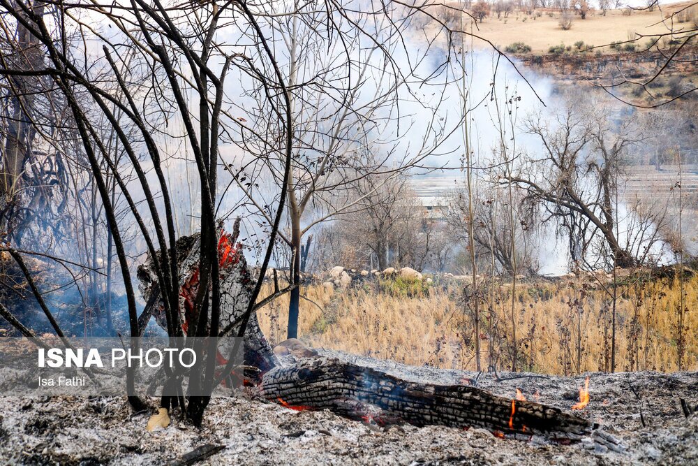 تصاویر: آتش سوزی ۶ هکتار از باغات روستای تنگ سریز بویراحمد