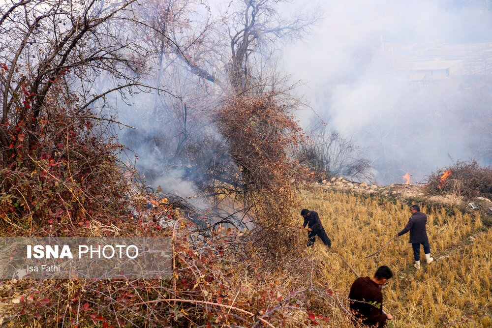 تصاویر: آتش سوزی ۶ هکتار از باغات روستای تنگ سریز بویراحمد