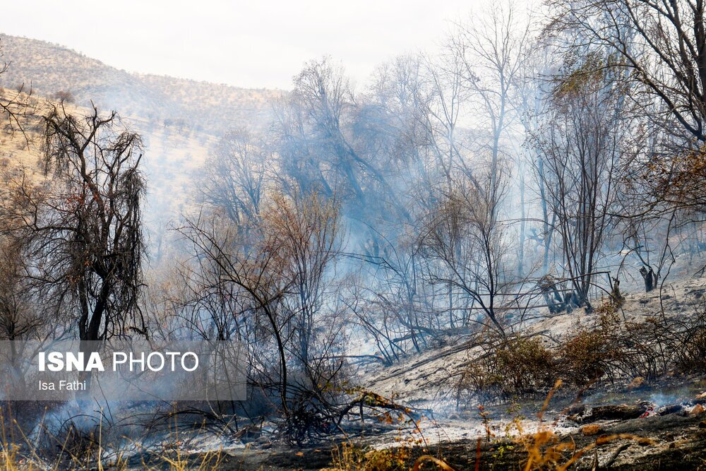 تصاویر: آتش سوزی ۶ هکتار از باغات روستای تنگ سریز بویراحمد