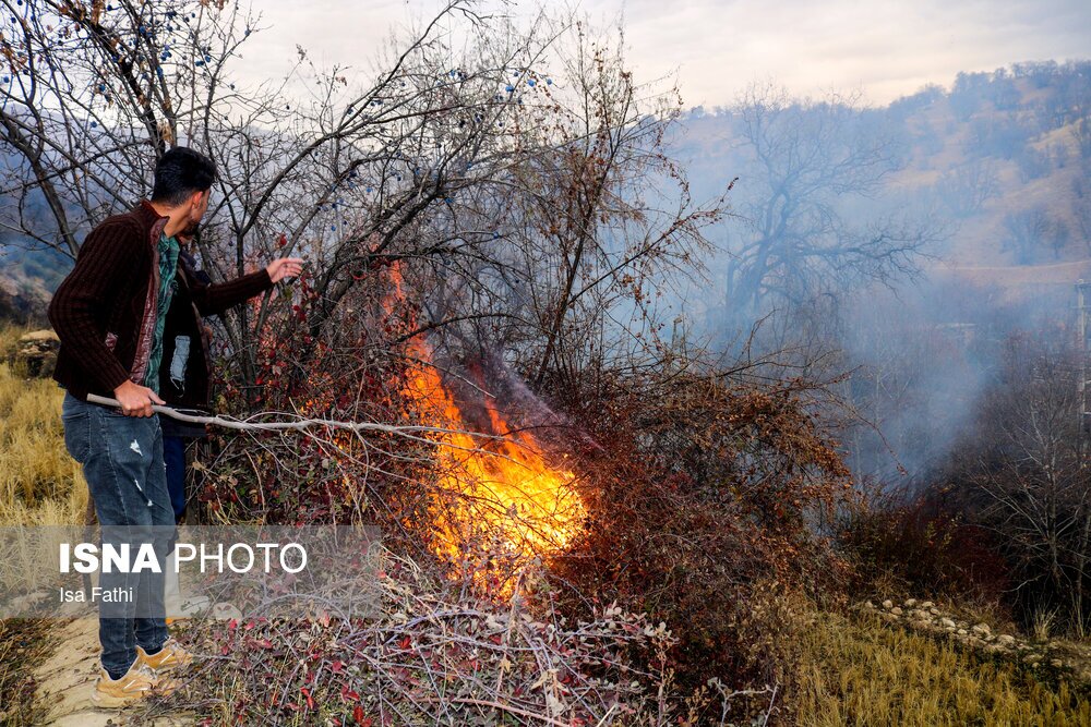 تصاویر: آتش سوزی ۶ هکتار از باغات روستای تنگ سریز بویراحمد