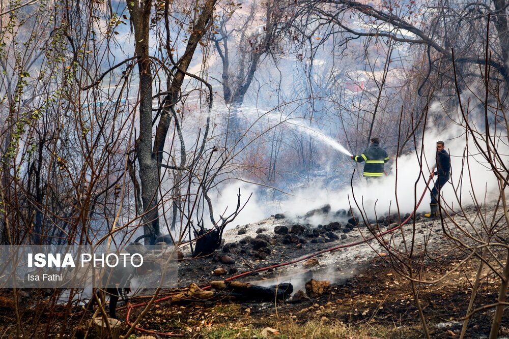 تصاویر: آتش سوزی ۶ هکتار از باغات روستای تنگ سریز بویراحمد