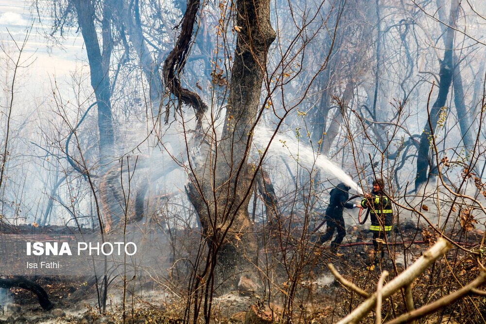 تصاویر: آتش سوزی ۶ هکتار از باغات روستای تنگ سریز بویراحمد